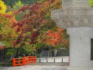 Unique Japan Tours Koyasan