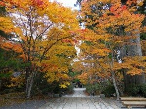 Autumn-Leaves-Koya-san-Unique-Japan-Tours