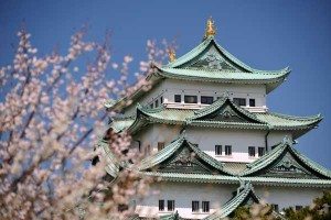 Japan Castle with cherryblossm