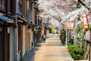 Kanazawa_Cherry_Blossom_Tours_Japan