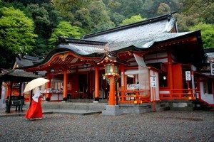 Unique Japan Tours Shrine Small Group Tours