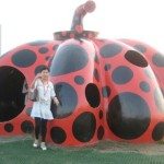 Unique Japan Tours Naoshima Ladybird house