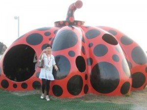 Unique Japan Tours Naoshima Ladybird house