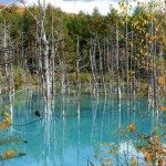 Unique Japan Tours Biei Blue Pond