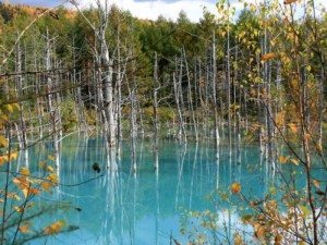 Unique Japan Tours Biei Blue Pond