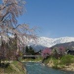 Unique Japan Tours Hakuba Oide Area Hakuba