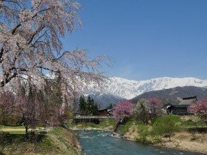 Unique Japan Tours Hakuba Oide Area Hakuba