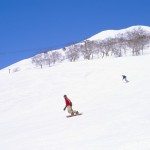 Unique Japan Tours Hokkaido Snow Board