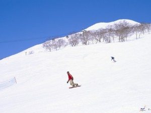 Unique Japan Tours Hokkaido Snow Board