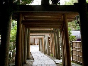 Unique Japan Tours Kamakura Zeniarai Benten Shrine