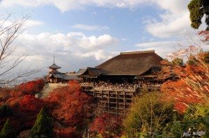 Unique Japan Tours Kiyomizudera Temple Autumn