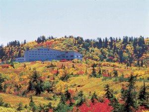 Unique Japan Tours Kurobe Alpine Route Midagahara