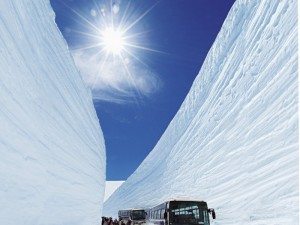 Unique Japan Tours Kurobe Alpine Route Snow Walls Otani