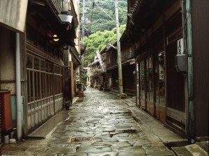 Unique Japan Tours Matsue Ao Ishidatami Dori