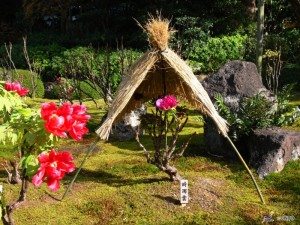 Unique Japan Tours Matsue Yushi-en Garden Covered Plant
