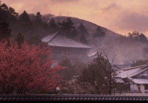 Unique Japan Tours Nara Nigatsu-do Hall