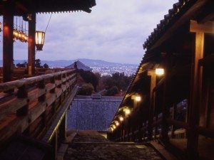Unique Japan Tours Nara Todai-ji Night