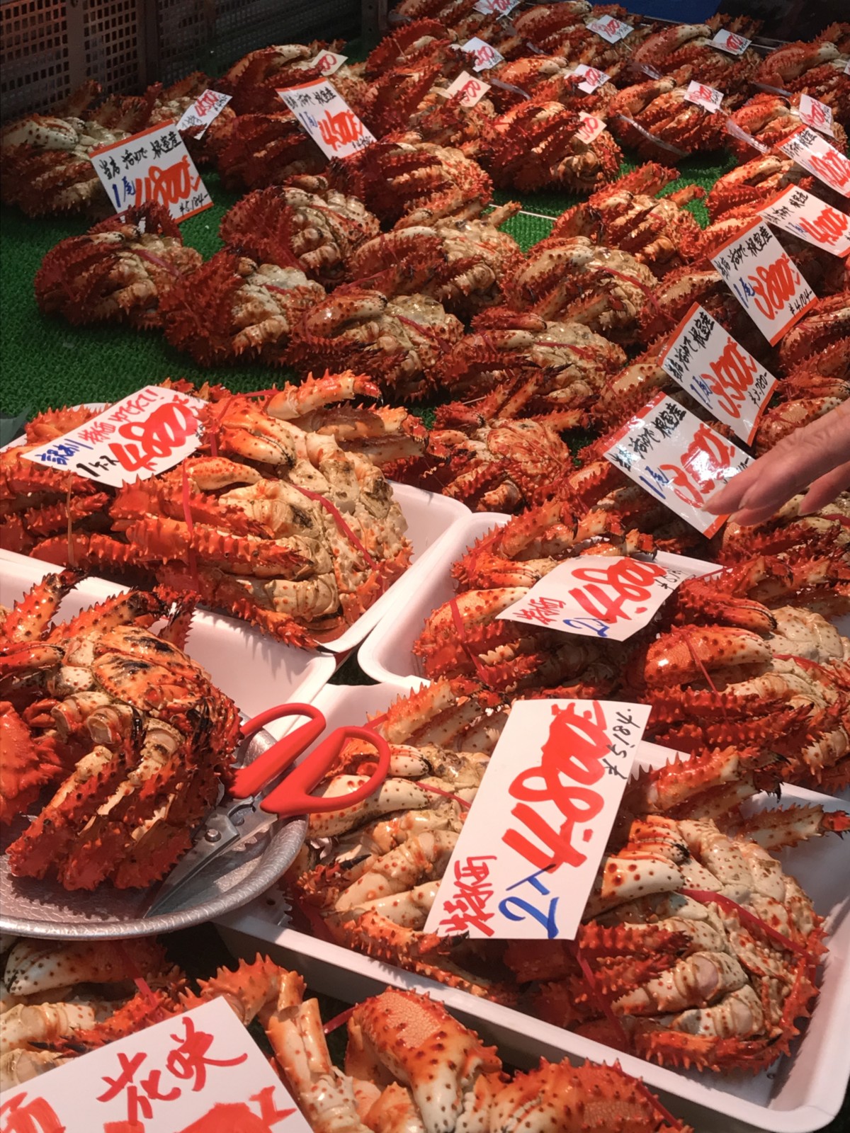 Sapporo Fish Market Unique Japan Tours