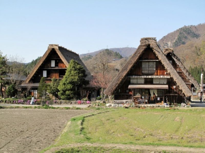 farm tour in japan