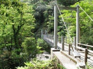 Yakushima_Vine Bridge