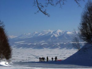 Furano Tourism Association Skiing