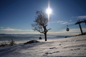 Furano Tourism Association Skiing Hokkaido