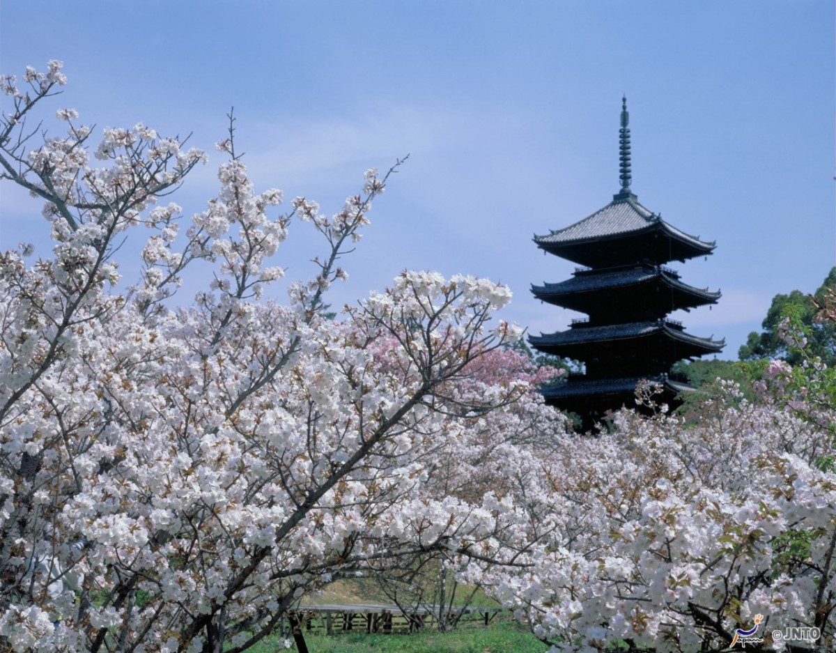 Kyoto, cultural heart of Japan.