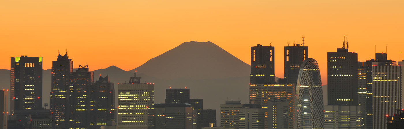 Tokyo with Mt Fuji in Background