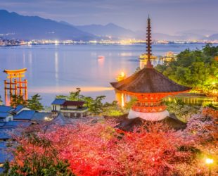 Miyajima_NightView_Uniquejapantours