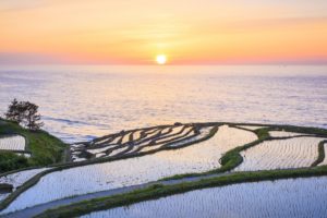 Noto_Peninsula_Rice_Fields_Unique_Japan_Tours