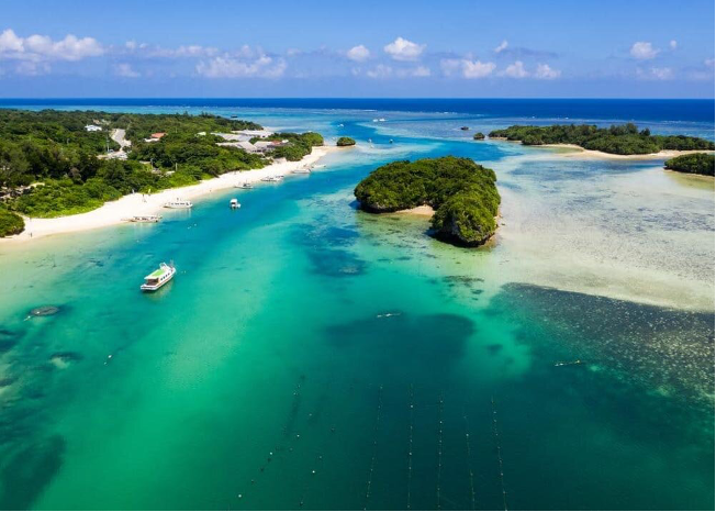 Japan's best islands to visit, from Okinawa to cat sanctuary Aoshima