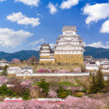 Japan Entry Guidelines