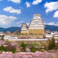 Himeji, Japan at Himeji Castle in spring season.