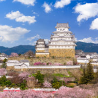 Himeji, Japan at Himeji Castle in spring season.